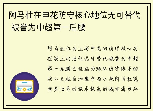 阿马杜在申花防守核心地位无可替代 被誉为中超第一后腰